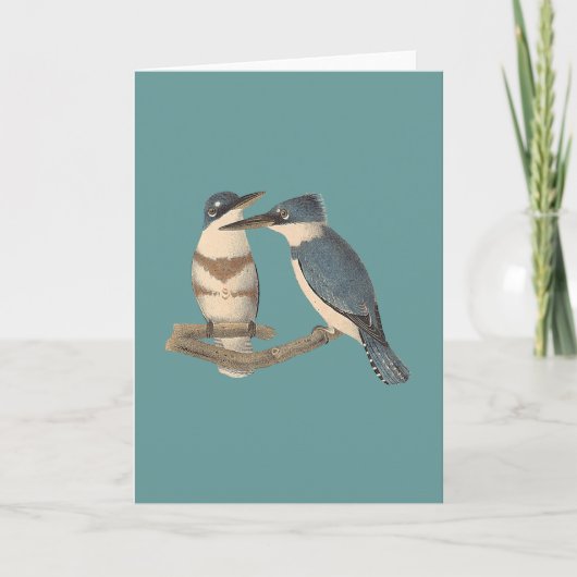 De omgorde Ijsvogel	 (Alcedo alcyon) Kaart (Voorkant)