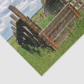 De Omheining van de Kikker die gedeeltelijk een Kl Tissuepapier (Detail)