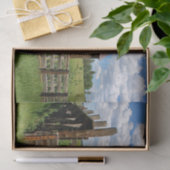 De Omheining van de Kikker die gedeeltelijk een Kl Tissuepapier (Geschenk)