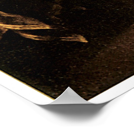 De onafhankelijkheidsverklaring van 4 juli 1776 poster (Hoek)