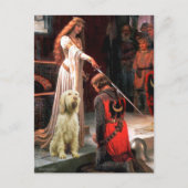 De onderscheiding - Spinone Italiano 5 Briefkaart (Voorkant)