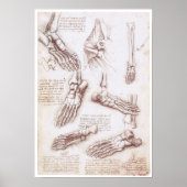De onderste uitholling, Leonardo da Vinci Poster (Voorkant)