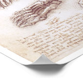 De onderste uitholling, Leonardo da Vinci Poster (Hoek)