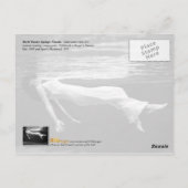 De onderwater Fotografie van de Mode Briefkaart (Achterkant)