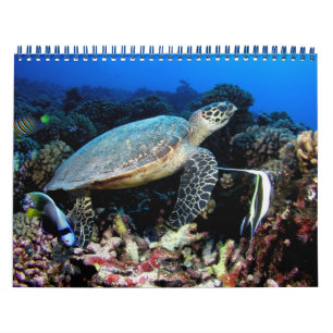 De onderwater Kalender van Foto's 2012