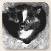 De Onderzetters van de Silent Observer (Voorkant)