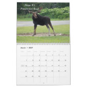 De One & Only Greenville Muur Kalender (Mar 2027)