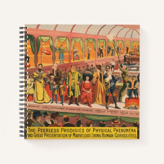 De ongeëvenaarde wonderen van fysische fenomenen notitieboek (Voorkant)