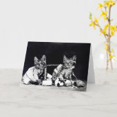 De ongehoorzame Kaart van de Nota van Katjes (Gele Bloem)