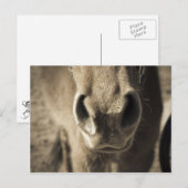 De ongelooflijke eetlust van Ed Briefkaart (Voorkant / Achterkant)