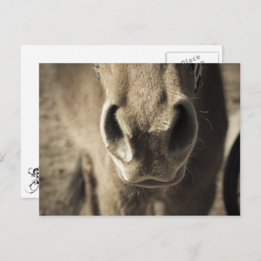 De ongelooflijke eetlust van Ed Briefkaart (Voorkant / Achterkant)