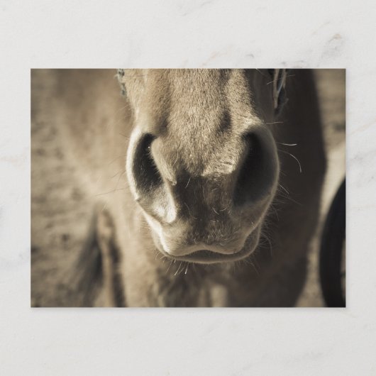 De ongelooflijke eetlust van Ed Briefkaart (Voorkant)