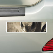 De ongelooflijke eetlust van Ed Bumpersticker (Op auto)