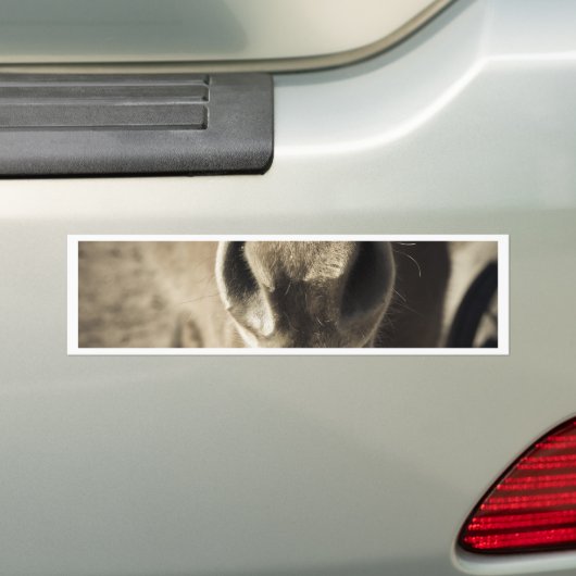 De ongelooflijke eetlust van Ed Bumpersticker (Op auto)