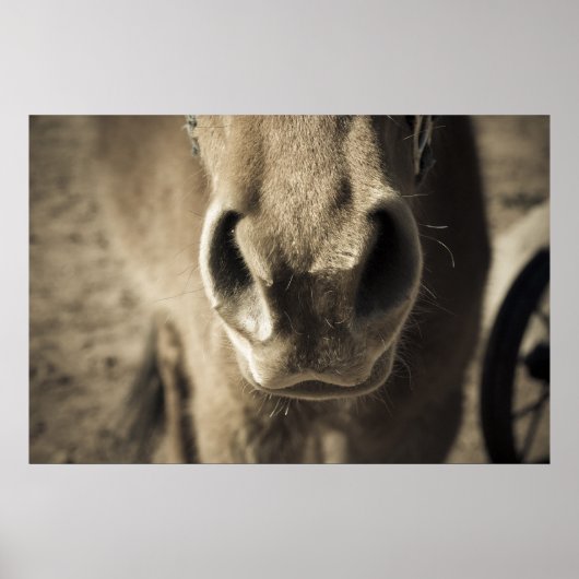 De ongelooflijke eetlust van Ed Poster (Voorkant)