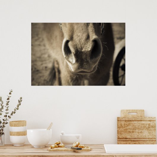 De ongelooflijke eetlust van Ed Poster (Keuken)