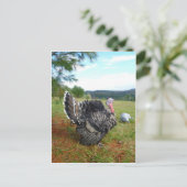 De ongelooflijke kalkoenen briefkaart (Staand voorkant)