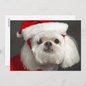 De onhandige hond van de Kerstman Feestdagenkaart (Voorkant / Achterkant)