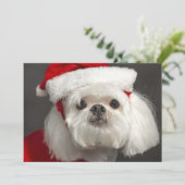 De onhandige hond van de Kerstman Feestdagenkaart (Staand voorkant)