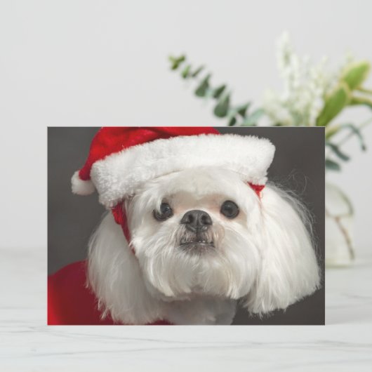 De onhandige hond van de Kerstman Feestdagenkaart (Staand voorkant)