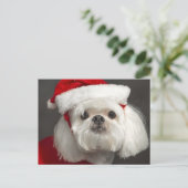 De onhandige hond van de Kerstman Feestdagenkaart (Staand voorkant)