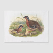 De ontkoppeling van de rode pap tissuepapier (Voorkant)