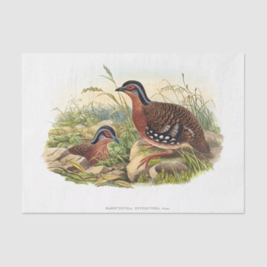 De ontkoppeling van de rode pap tissuepapier (Voorkant)