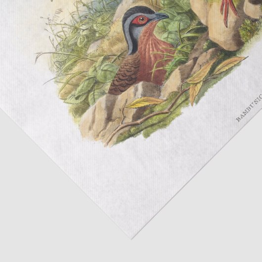 De ontkoppeling van de rode pap tissuepapier (Detail)