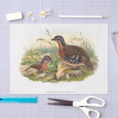 De ontkoppeling van de rode pap tissuepapier (Craft)