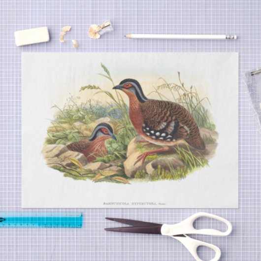 De ontkoppeling van de rode pap tissuepapier (Craft)