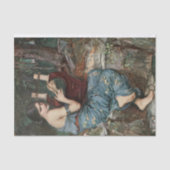 De ontkoppeling van het charmer tissuepapier (Voorkant)