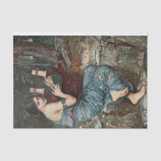 De ontkoppeling van het charmer tissuepapier (Voorkant)