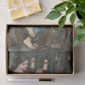 De ontkoppeling van het charmer tissuepapier (Geschenk)