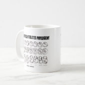 De ontogenie recapituleert Fylogenese (Biologie) Koffiemok (Voorkant links)