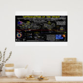 De Ontvangenis Komeet - Openbaring 12 teken Poster (Keuken)