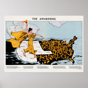 De ontwakking poster