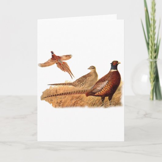 De ontwijkende Jacht van de Vogel van de Fazant Kaart (Voorkant)