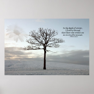 De onwrikbare zomer - Licht in de donkere winter Poster