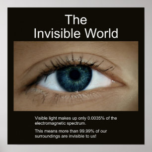 De onzichtbare wereld poster