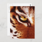De Oog-foto van de Tijger Briefkaart (Voorkant / Achterkant)