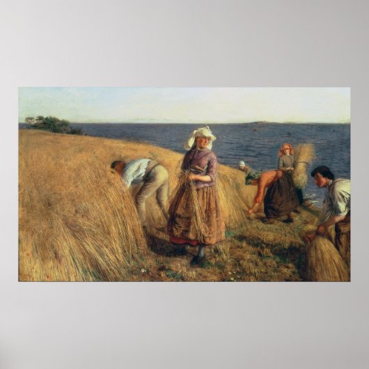 De oogst poster (Voorkant)