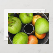 De Oogst van de herfst Briefkaart (Voorkant / Achterkant)