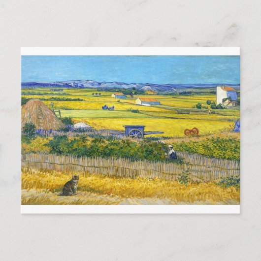 De Oogstkat Ansichtkaart Briefkaart (Voorkant)