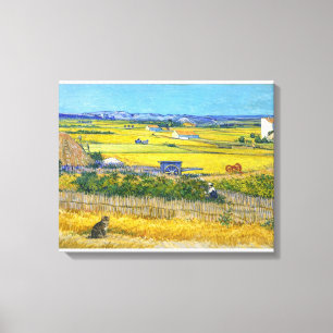 De Oogstkat Canvas Print