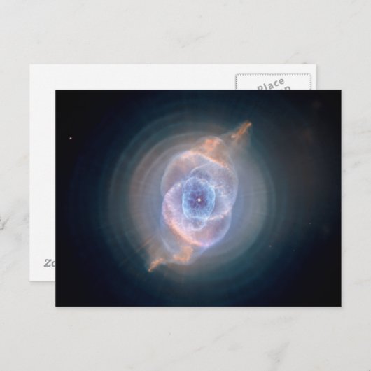 De oogverneveling van de kat briefkaart (Voorkant / Achterkant)