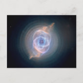 De oogverneveling van de kat briefkaart (Voorkant)