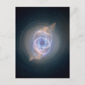 De oogverneveling van de kat briefkaart (Voorkant)