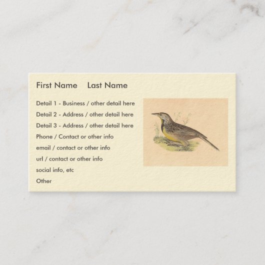 De oostelijke beemdhaai (Sturnella magna) NY Vogel Visitekaartje (Voorkant)