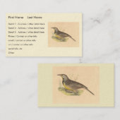 De oostelijke beemdhaai (Sturnella magna) NY Vogel Visitekaartje (Voorkant / Achterkant)