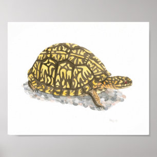 De oostelijke Druk van de Kunst van de Schildpad Poster
